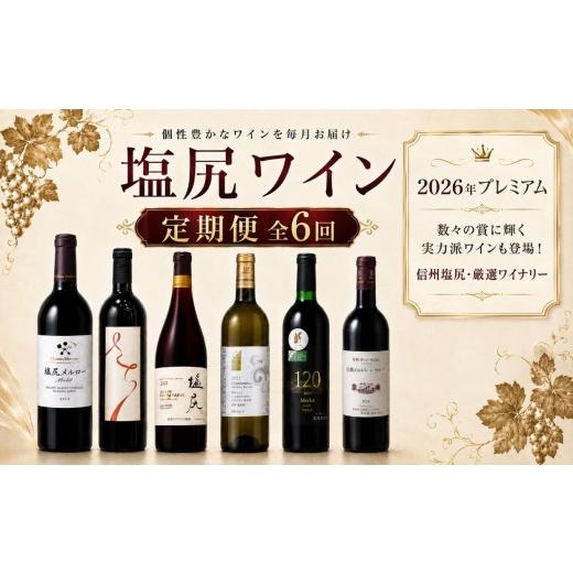 ふるさと納税 ワイン 赤ワイン 長野県 塩尻市 [チョイス限定] 定期便 全6回 2026年プレミアム 数々の賞に輝く実力派ワインも登場 信州塩尻・厳選ワイナリー …