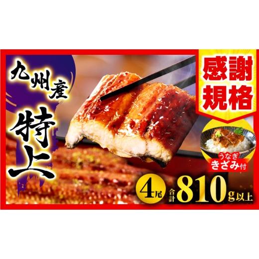 ふるさと納税 うなぎ 宮崎県 宮崎市 九州産うなぎ蒲焼4尾(さんしょう、たれ付き)うなぎ蒲焼きざみ1袋付き 計810g 人気 鰻 うなぎ ウナギ 国産 国産鰻 国産うな…