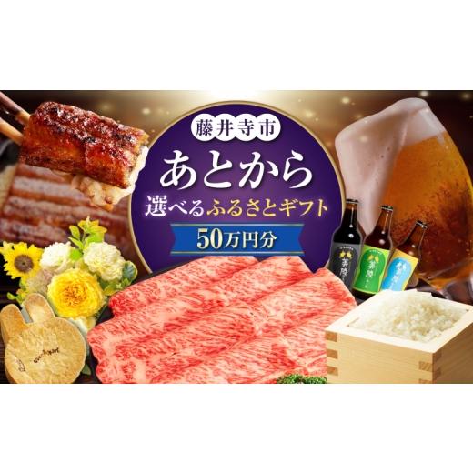 ふるさと納税 地元のお買物券 大阪府 藤井寺市 あとから選べる 藤井寺市ふるさとギフト 50万円分 肉 牛肉 うなぎ 鰻 米 お米 お菓子 調理器具 フライパン グ…