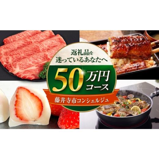 ふるさと納税 地元のお買物券 大阪府 藤井寺市 藤井寺市コンシェルジュ 返礼品おまかせ 寄附額50万円コース 500000円 肉 牛肉 うなぎ 鰻 米 お米 お菓子 調理…
