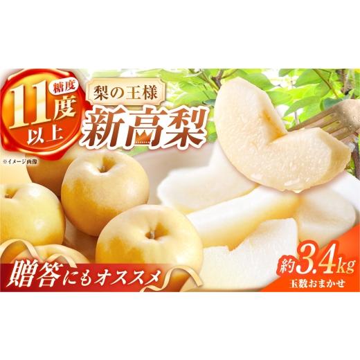 ふるさと納税 梨 長崎県 - シャリッとおいしい 新高梨 約3.4kg(玉数おまかせ)長崎県/株式会社 ふるさと企画 42A