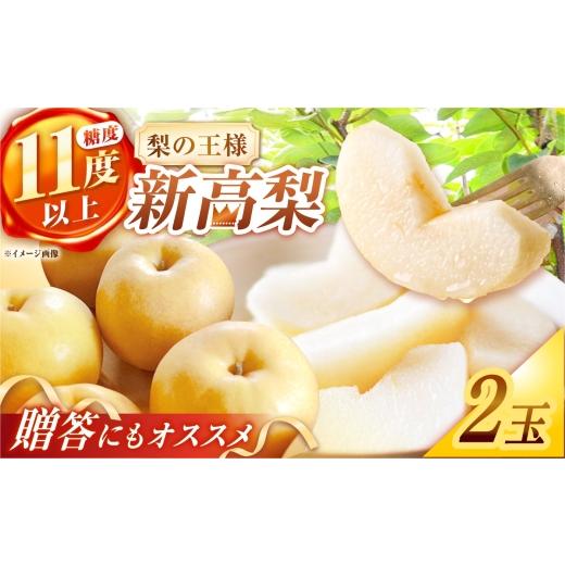 ふるさと納税 梨 長崎県 - シャリッと食感がたまらない 新高梨 2玉 梨 なし?長崎県/株式会社 ふるさと企画 42A