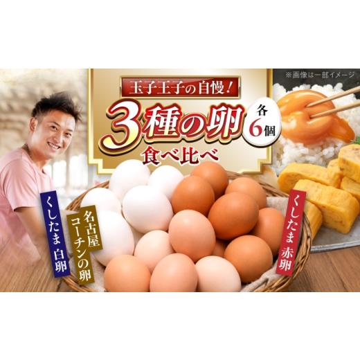 ふるさと納税 卵(鶏、烏骨鶏等) 愛知県 稲沢市 3種食べ比べセット 18個(名古屋コーチン6個・赤卵6個・白卵6個)/ 卵 たまご 食べ比べ / 稲沢市 / 櫛田養…