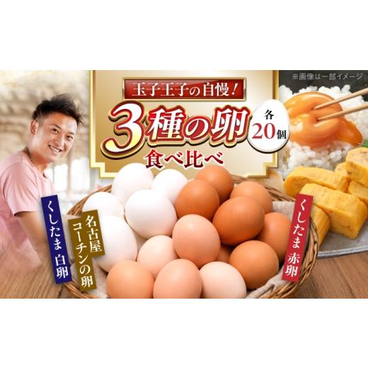 ふるさと納税 卵(鶏、烏骨鶏等) 愛知県 稲沢市 3種食べ比べ 大容量セット 60個(名古屋コーチン20個・赤卵20個・白卵20個)/ 卵 たまご / 稲沢市 / 櫛田…