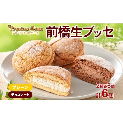 ふるさと納税 焼菓子・チョコレート バウムクーヘン 群馬県 前橋市 生ブッセ プレーン チョコ 各3個 計6個 | 洋菓子 チョコレート ホワイトチョコレート クー…
