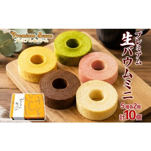 ふるさと納税 焼菓子・チョコレート バウムクーヘン 群馬県 前橋市 プレミアム 生バーム ミニ 5種 各2個 計10個 | 洋菓子 バームクーヘン 焼き菓子 スイーツ …