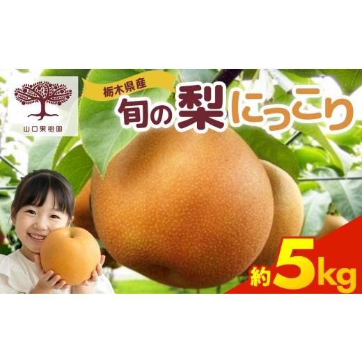 ふるさと納税 梨 栃木県 宇都宮市 先行予約 栃木の梨 にっこり 5kg | 梨 秋の味覚 果物 くだもの フルーツ 2026年10月〜発送