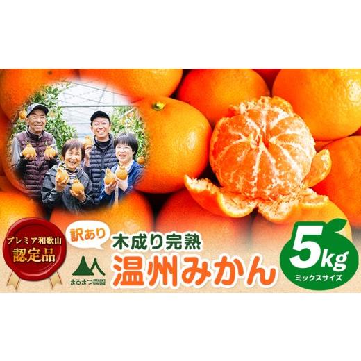ふるさと納税 果物類 みかん 和歌山県 日高川町 訳あり 木成り完熟温州 みかん 約 5kg ミックスサイズ 和歌山県産 まるまつ農園[12月上旬-1月末頃出荷] 和歌…