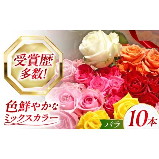 ふるさと納税 花・苗木 花束 広島県 江田島市 バラ 10本セット 花束 ブーケ 薔薇 ローズ 生花 フラワー 産地直送 贈り物 江田島市/タナカローズガーデン XDC0…