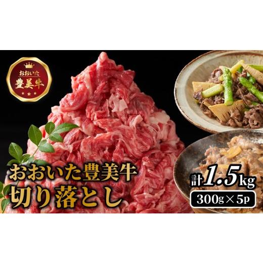 ふるさと納税 牛肉 カレー・シチュー 大分県 国東市 おおいた豊美牛切り落とし 1.5kg (300g×5P)_2263R 1.5kg (300g×5P)