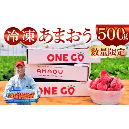 ふるさと納税 いちご 福岡県 久留米市 数量限定 福岡県産あまおう(冷凍500g)特別栽培_急速冷凍 いちご あまおう 500g 冷凍 3Dフリーザー 長期保存可能 国産…