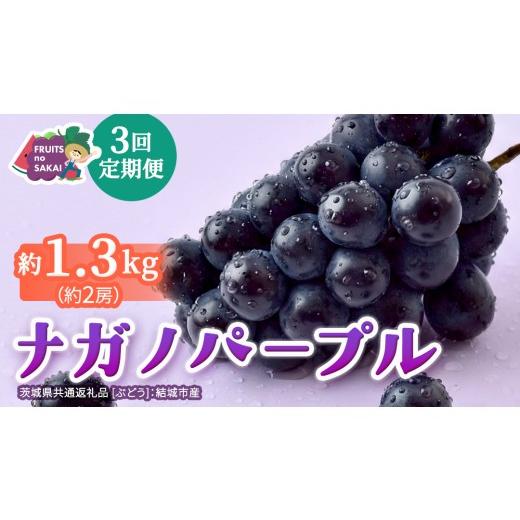ふるさと納税 果物類 ぶどう 茨城県 つくばみらい市 定期便 3か月連続でお届け ナガノパープル 約1.3kg (約2房) 2026年8月より発送開始 (茨城県共通返礼品…