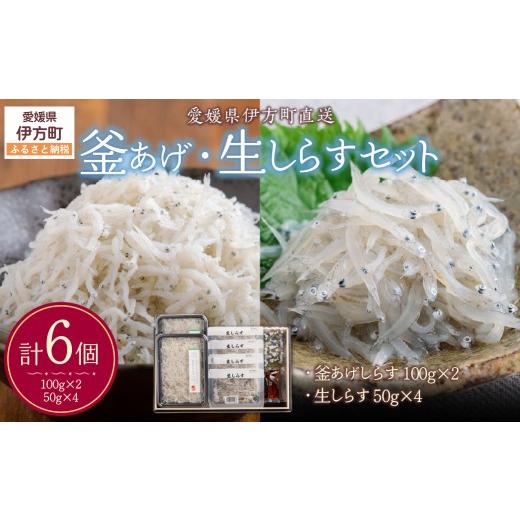 ふるさと納税 魚貝類 しらす 愛媛県 伊方町 網元直送 釜あげ・生しらすセット ふるさと納税 人気 おすすめ ランキング しらす シラス 釜あげ 生しらす おかず…