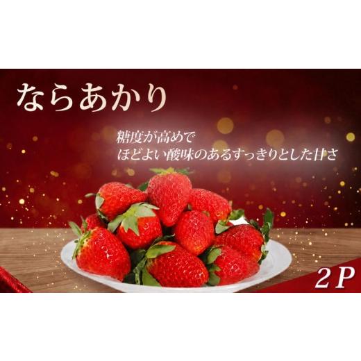 ふるさと納税 いちご 奈良県 奈良市 2027年発送 いちご イチゴ ならあかり 先行予約 約520g 260g×2P 苺 ブランド 果物 フルーツ 月 旬 産地 農場 直送 品種 …