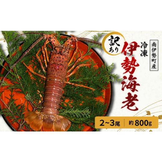 ふるさと納税 エビ 伊勢エビ 三重県 南伊勢町 訳あり 伊勢海老 2〜3尾 計 約800g (冷凍) / 加熱用 海鮮 海の幸 海老 伊勢海老 伊勢えび BBQ 焼き物 お味噌汁 …