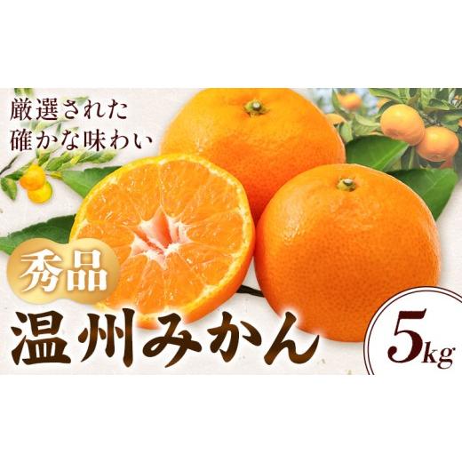 ふるさと納税 果物類 みかん 和歌山県 日高川町 温州みかん 約5kg 秀品 亀井農園 [11月上旬-1月中旬出荷予定(土日祝除く)]和歌山県 日高川町 柑橘類 柑橘 果…