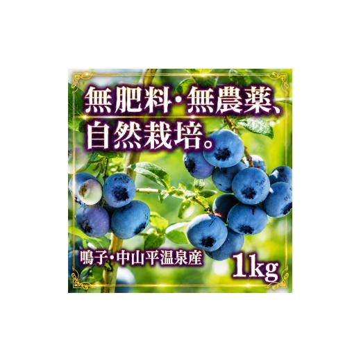 ふるさと納税 果物類 宮城県 大崎市 [7月中旬より順次発送]先行受付 ブルーベリー 無農薬無化学肥料栽培 鳴子・中山平温泉産 1kg | ku001-1kg 1kg