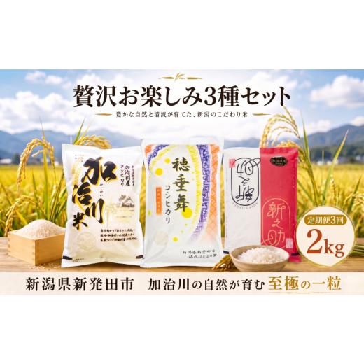 ふるさと納税 米 コシヒカリ 新潟県 新発田市 贅沢お楽しみ3種セット 令和7年産 新潟県産 コシヒカリ 穂垂舞 新之助 2kg(2kg1袋)3回 定期便 米 お米 おこめ…