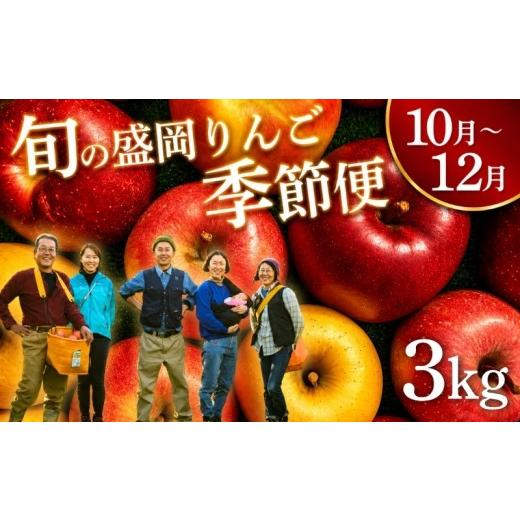 ふるさと納税 りんご 岩手県 盛岡市 先行予約 りんご 季節便(発送1回) 3kg 10月~12月便 特別栽培 旬の盛岡りんご 盛岡プレミアムブランド認証 贈答 良品 お歳…