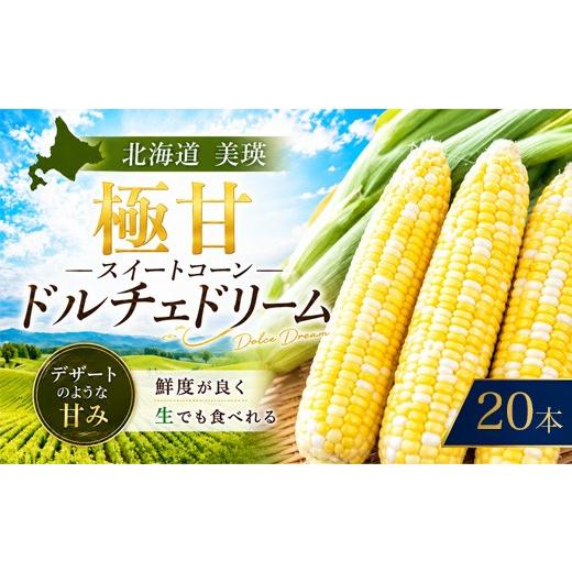 ふるさと納税 とうもろこし 北海道 美瑛町 令和8年産 先行予約 とうもろこし ドルチェドリーム 20本 MARUMOスイートコーン 本山農場|北海道とうもろこし ス…
