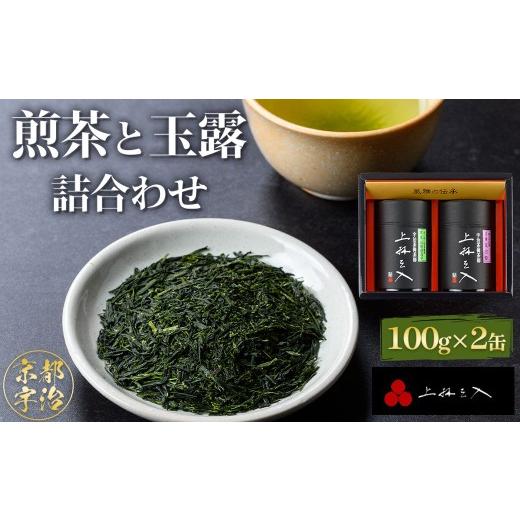 ふるさと納税 お茶類 緑茶(茶葉・ティーバッグ) 京都府 宇治市 煎茶と玉露の詰合わせ(100g×2缶) uj-AU004 三星園上林三入本店