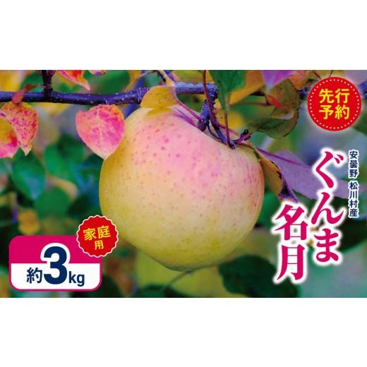 ふるさと納税 りんご 長野県 松川村 2026年先行予約 訳あり 家庭用 ぐんま名月 約3kg | 山とりんご リンゴ りんご 林檎 果物 フルーツ 果実 果汁 ぐんま名月…