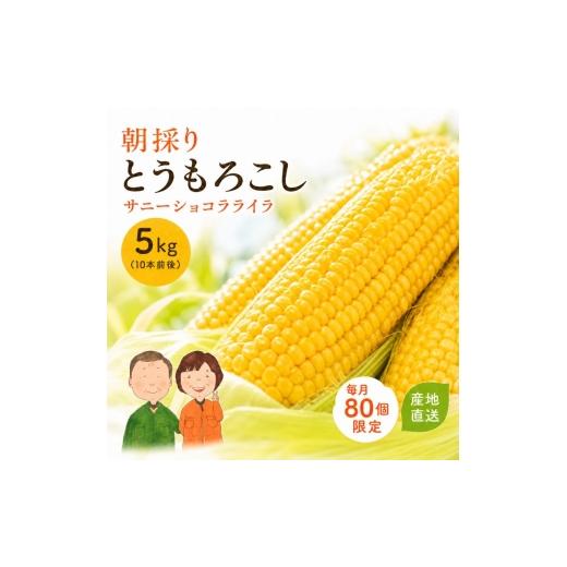 ふるさと納税 とうもろこし 宮城県 大河原町 とうもろこし サニーショコラライラ 約5kg (10本前後) 冷蔵便 朝採り スイートコーン トウモロコシ 産直 産地直送