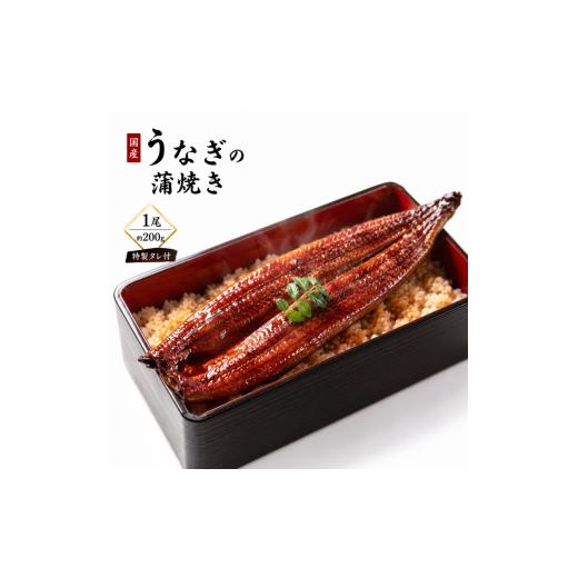 ふるさと納税 うなぎ 宮城県 大河原町 国産うなぎ ふっくら香ばしい 鰻の蒲焼き 1尾 容量200g 特製タレ付 うなぎ ウナギ 蒲焼 うな重 温めるだけ 湯せん ギフ…