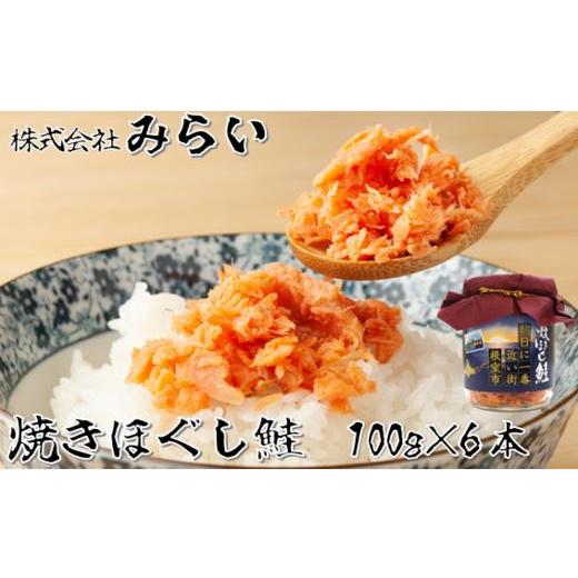 ふるさと納税 魚貝類 鮭 北海道 根室市 G-49002 焼きほぐし鮭(鮭フレーク)100g×6本