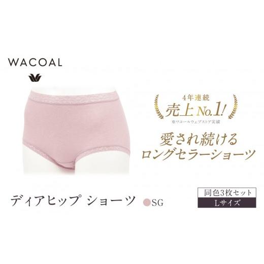 ふるさと納税 ファッション 京都府 京都市 ワコール 4年連続1位 見た目スッキリ きれいに整うディアヒップ ショーツ Lサイズ ピンクベージュ 同色3枚セット|…