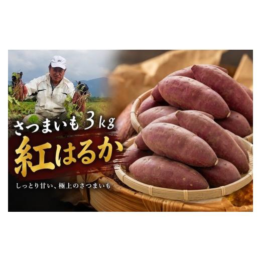 ふるさと納税 野菜類 サツマイモ 大分県 豊後高田市 紅はるか 紅はるか・さつまいも 3kg | 紅はるか芋 紅はるかさつまいも 焼き芋紅はるか さつまいも野菜 や…