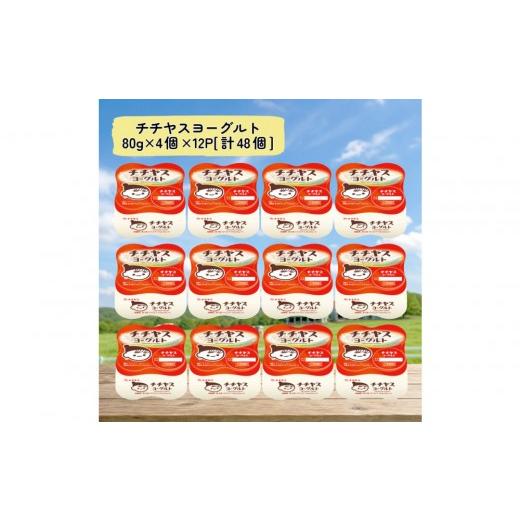 ふるさと納税 菓子 ヨーグルト 広島県 廿日市市 チチヤスヨーグルト80g×4個×12P