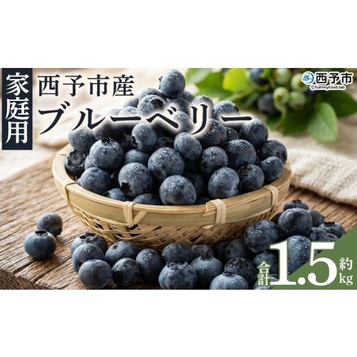 ふるさと納税 果物類 愛媛県 西予市 愛媛県西予市産 ブルーベリー ご家庭用 合計約1.5kg 『7月下旬〜8月迄に順次出荷予定』訳あり 果物 フルーツ くだもの 生…