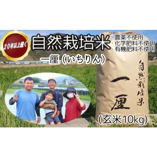 ふるさと納税 米 奈良県 桜井市 DB-7. 幸せへの想いを込めた 自然栽培米 一厘(いちりん) 玄米 10kg