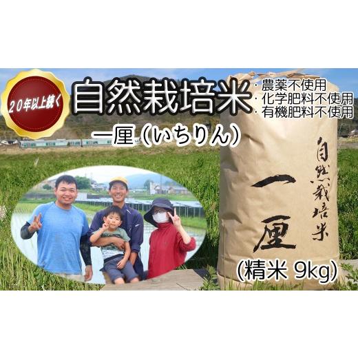 ふるさと納税 米 奈良県 桜井市 DC-5. 幸せへの想いを込めた 自然栽培米 一厘(いちりん) 精米 9kg