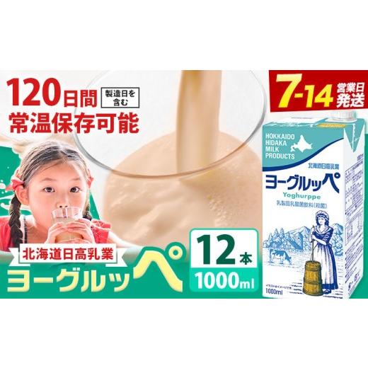 ふるさと納税 飲料類 乳飲料 北海道 日高町 ロングライフ 常温保存可能 ヨーグルッペ 1000ml × 12本 日高乳業[7-14日以内に出荷予定(土日祝除く)]北海道 日…