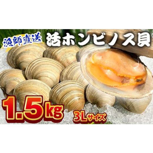 ふるさと納税 魚貝類 千葉県 富津市 漁師直送 活ホンビノス貝1.5kg(3Lサイズ) ホンビノス 貝 白はまぐり 大あさり 浜焼き BBQ バーベキュー アウトドア キ…
