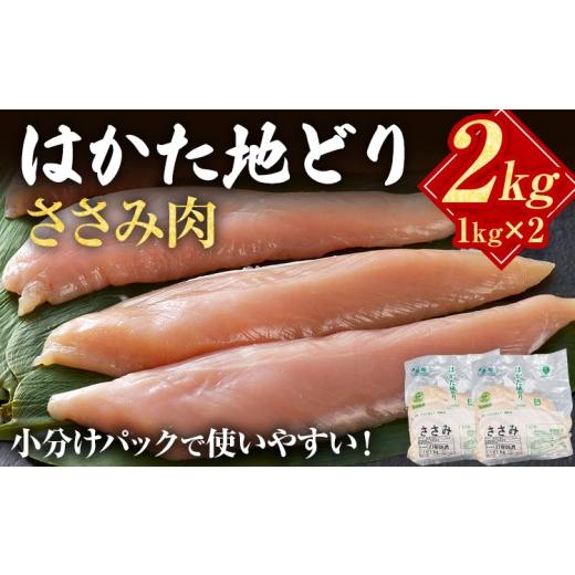 ふるさと納税 鶏肉 ささみ 福岡県 みやこ町 はかた地どり ささみ 2kg 1kg×2パック 福岡県産 地鶏 鶏肉 冷凍 国産 ササミ 鶏ささみ とり肉 ヘルシー 蒸し鶏 ダ…