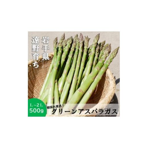 ふるさと納税 野菜類 アスパラガス 岩手県 遠野市 アスパラガス 500g こんたでぃーの遠野 1511899