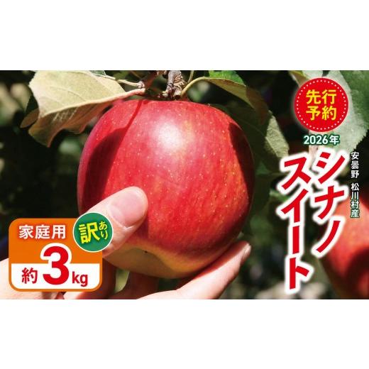 ふるさと納税 りんご 長野県 松川村 2026年先行予約 訳あり 家庭用 シナノスイート 約3kg | 山とりんご リンゴ りんご 林檎 果物 フルーツ 果実 果汁 シナノ…