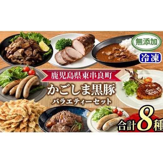 ふるさと納税 豚肉 セット 鹿児島県 東串良町 0295146a 鹿児島黒豚無添加バラエティセット(合計8種) 黒豚 豚肉 ぶた肉 餃子 ハンバーグ 炭火焼 焼豚 カレー …