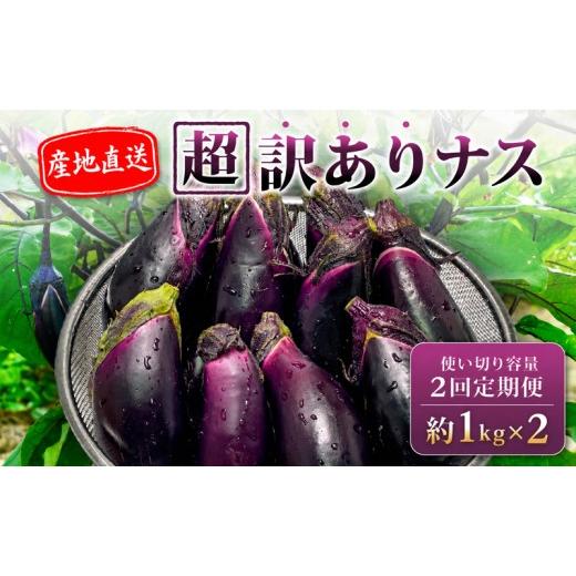 ふるさと納税 野菜類 茄子 高知県 安田町 先行受付 2回定期 安田町産 「超」 訳あり ナス なす なすび 1kg×2回 定期便 新鮮 野菜 茄子 産地直送 季節限定 夏…