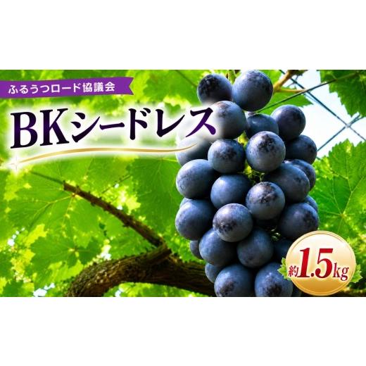 ふるさと納税 果物類 ぶどう 大分県 中津市 数量限定 ふるうつロード協議会の「BKシードレス」 約1.5kg | フルーツ 果物 くだもの ぶどう ブドウ 葡萄 種なし…