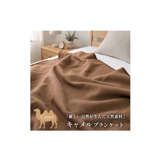 ふるさと納税 タオル・寝具 毛布 大阪府 泉大津市 シングルサイズ 厳しい自然が生んだ暖かさ キャメル100%(毛羽部分)毛布 140×200cm[泉大津産] CA-20S BE …