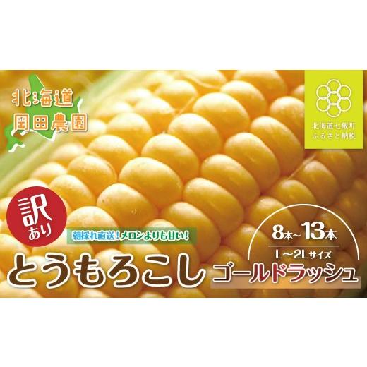 ふるさと納税 とうもろこし 北海道 七飯町 先行予約 訳あり 北海道七飯町産とうもろこし「朝採れゴールドラッシュ8〜13本」(L〜2L) ふるさと納税 人気 おす…