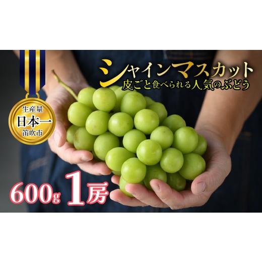 ふるさと納税 ぶどう マスカット 山梨県 笛吹市 2026年発送 先行予約 山梨県笛吹市産 シャインマスカット 1房 約600g 皮ごと食べられる人気のぶどう 262-003-…