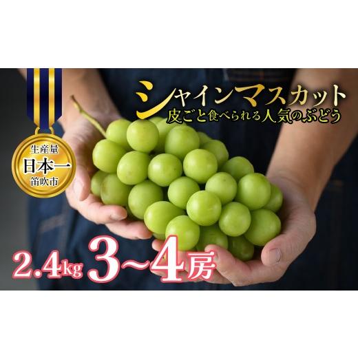 ふるさと納税 ぶどう マスカット 山梨県 笛吹市 2026年発送 先行予約 山梨県笛吹市産 シャインマスカット 約2.4kg 3〜4房 皮ごと食べられる人気のぶどう 262-…