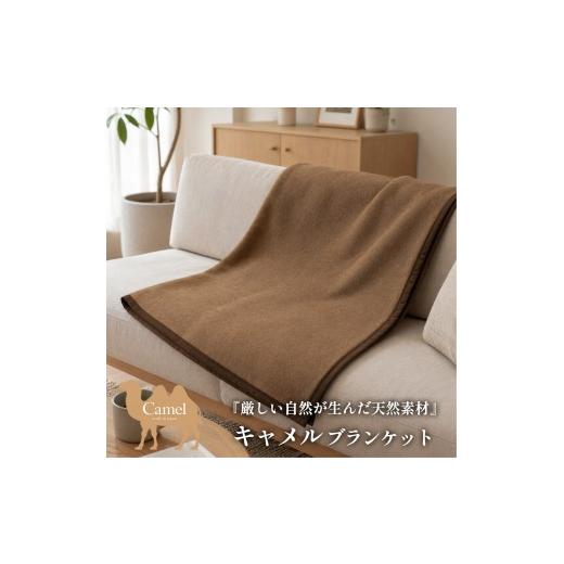 ふるさと納税 タオル・寝具 毛布 大阪府 泉大津市 ひざ掛サイズ 厳しい自然が生んだ暖かさ キャメル100%(毛羽部分)毛布 70×100cm[泉大津産] CA-22H BE | …