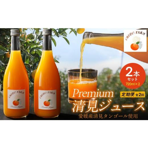 ふるさと納税 果汁飲料 みかん 愛媛県 伊方町 定期便 Premium清見ジュース(2本セット)全2回 北海道・沖縄・離島への配送不可 ふるさと納税 人気 おすすめ …