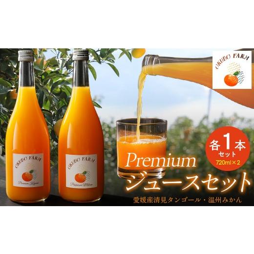 ふるさと納税 果汁飲料 みかん 愛媛県 伊方町 Premium清見ジュース Premiumみかんジュース 各1本セット 北海道・沖縄・離島への配送不可 ふるさと納税 人気 お…